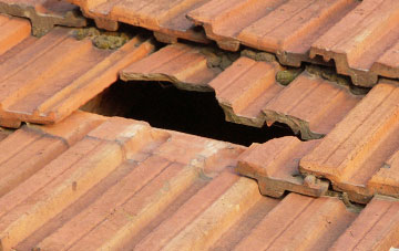roof repair Copt Oak, Leicestershire
